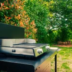 Prymalya, Extérieur, Gîte, Montagne, Casteljaloux, Terrasse, (19)