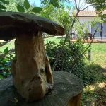 Prymalya, Extérieur, Gîte, Océan, Casteljaloux, Coin Zen (1)