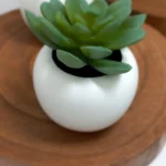 Prymalya, Intérieur, Gîte, Océan, Casteljaloux, Sdb (1)